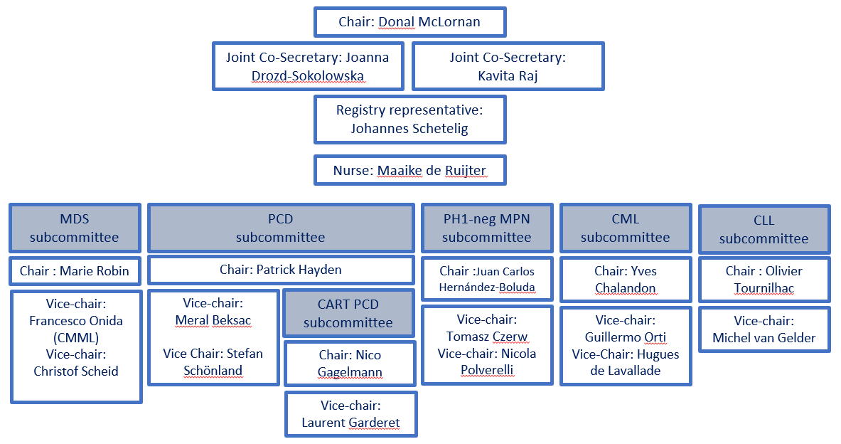 CMWP Structure