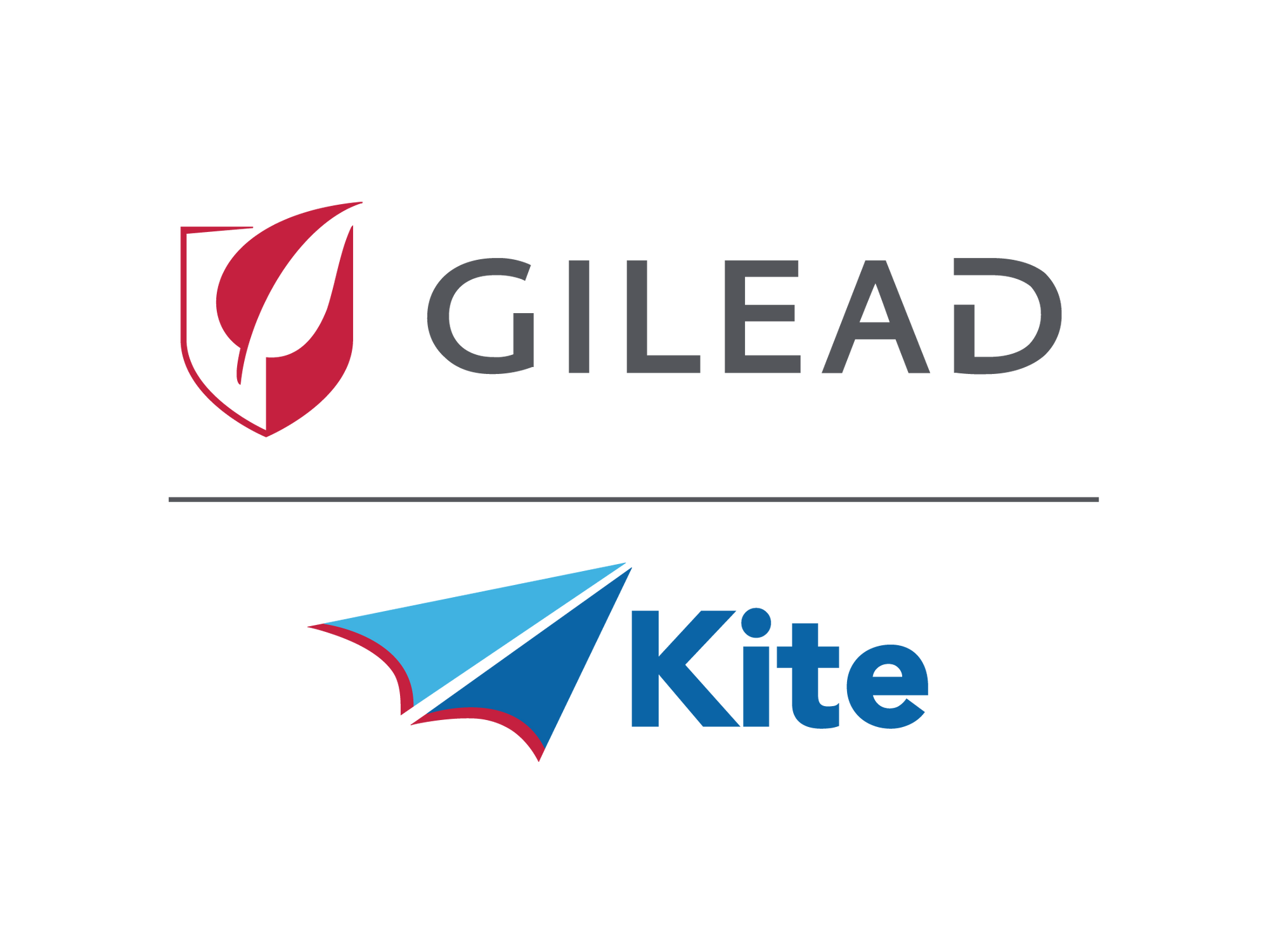 kite
