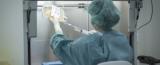 EBMT Individual Member rights