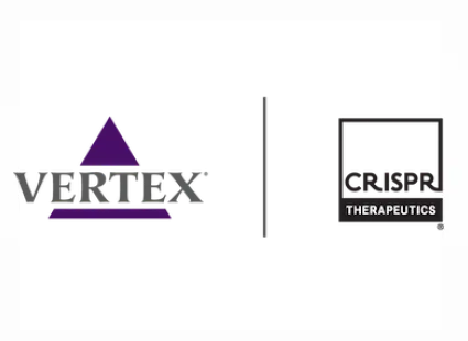 Vertex