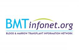 BMT_Infonet-logo