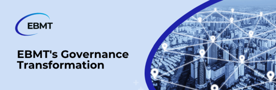Governance structure