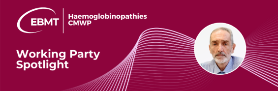 HWP Spotlight banner