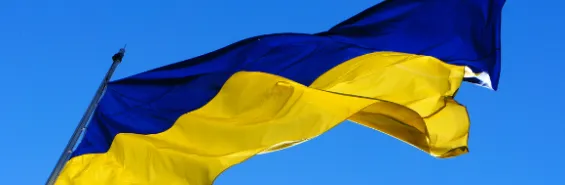 Ukrainian Flag