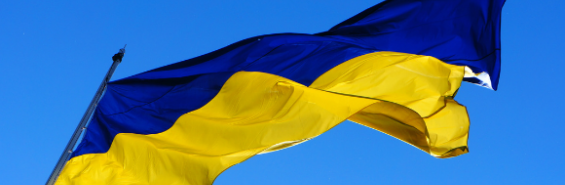 Ukrainian Flag