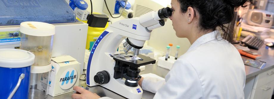 Research EBMT Research EBMT