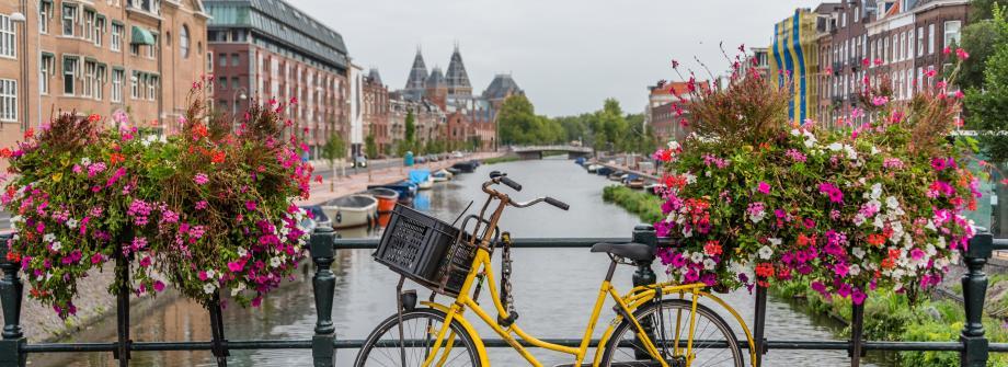 NG International Study Day Amsterdam