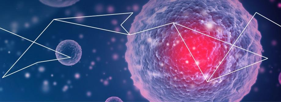 EBMT-EHA_CAR T-cell EBMT-EHA_CAR T-cell