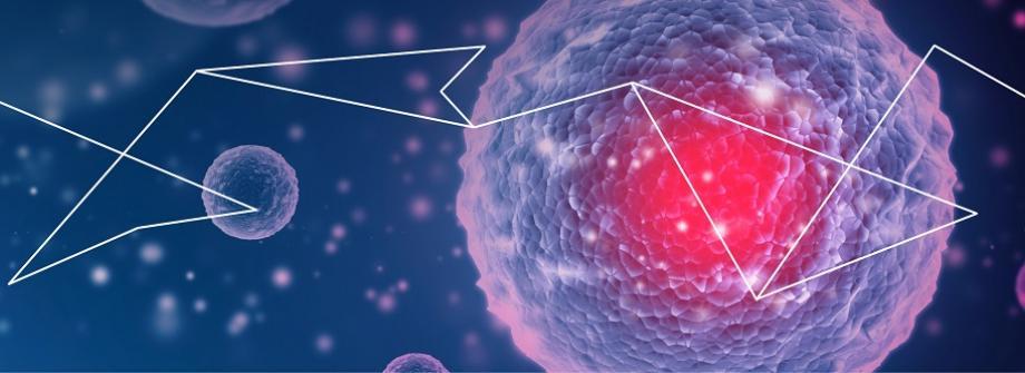 EBMT-EHA_CAR T-cell