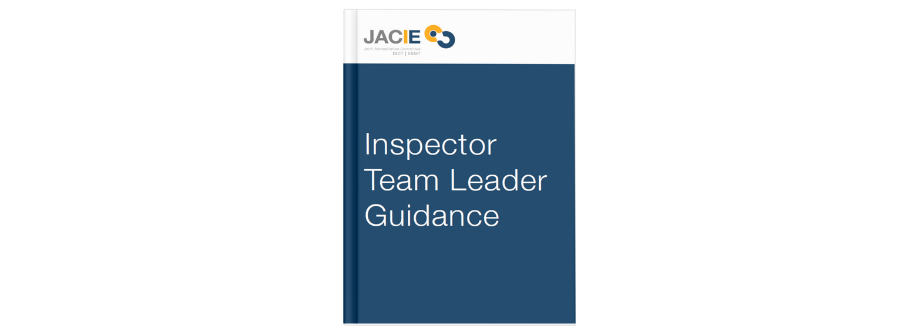Inspector Team Leader Guidance