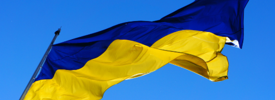 Ukrainian Flag Ukrainian Flag