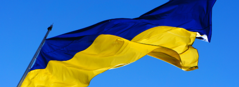 Ukrainian Flag