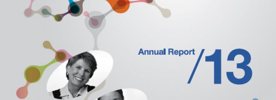 EBMT Annual Report 2013