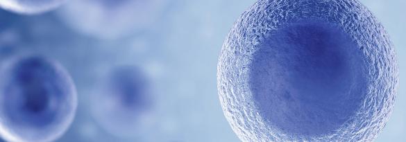 EBMT EHA 6th CAR T cell Meeting 2024 Poster Template EBMT